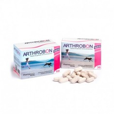 Arthrobon Recuperador Articulaciones Perros