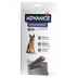 Advance Articular Stick