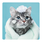 Suplementos alimenticios para gatos