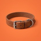 Collares para perros: Diseños Únicos para tu mejor amigo