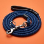 Correas para perros, seguridad y estilo para tu mascota