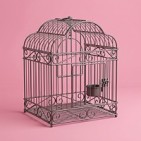 Jaulas para pájaros: seguridad y comodidad