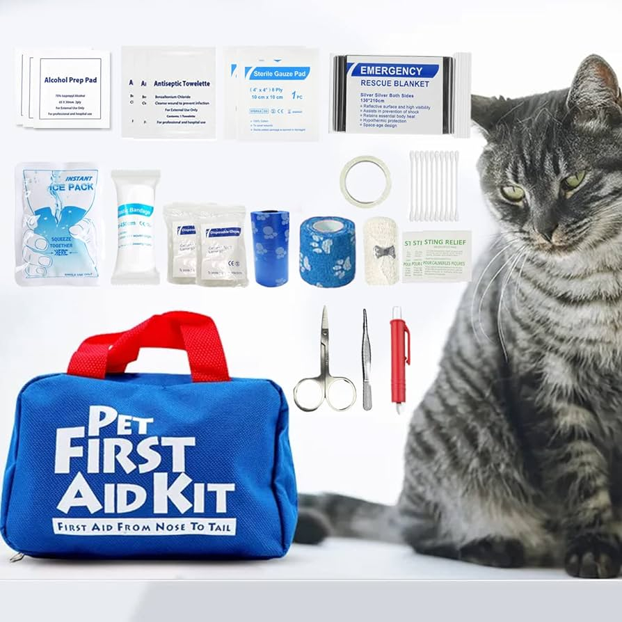 Kit de primeros auxilios para gatos bebés