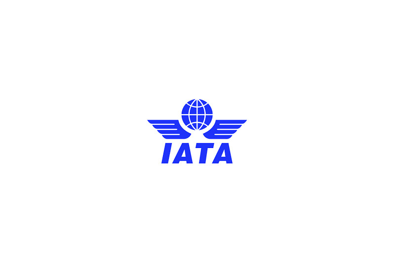 Guía definitiva de transportines según la norma IATA