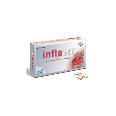 ¿Existen los antiinflamatorios naturales para perros y gatos?