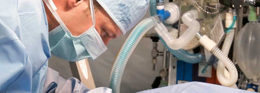 ¿Qué es una farmacia veterinaria? ¿Qué es una farmacia veterinaria?