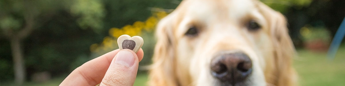 calcio para perros - farma higiene calcio para perros - farma higiene